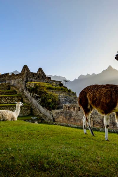 Peru and the Galápagos Luxury Tour