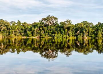 Southern Peruvian Amazon thumbnail