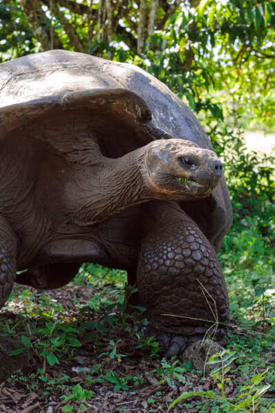 An Unforgettable Galápagos Family Adventure