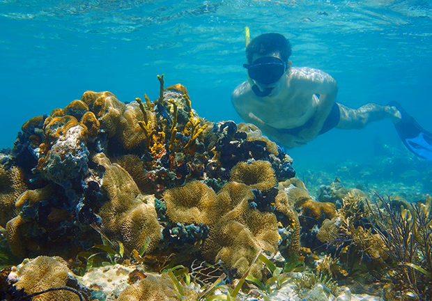 Luxury Costa Rica tours - Man underwater snorkeling and looks sea life