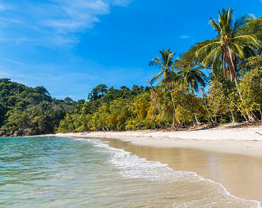 Luxury Costa Rica tours - a golden sand beach lined with palm trees
