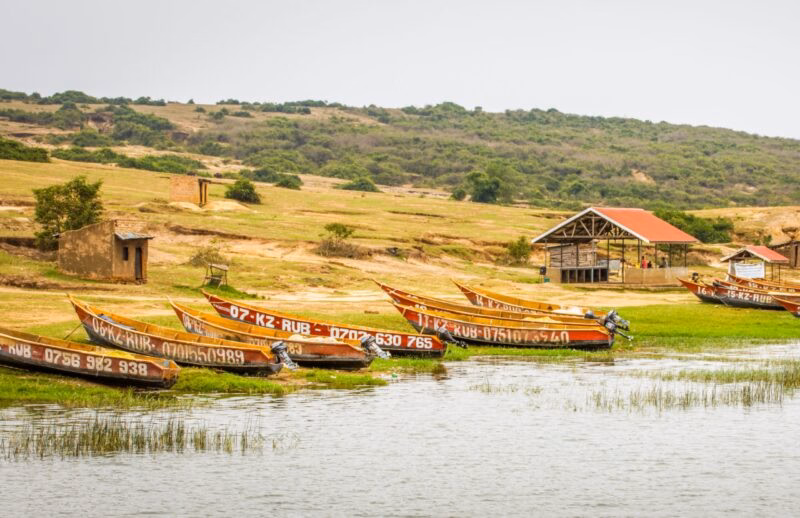 Colorful wooden boats with registration numbers parked on a grassy lake bank on luxury Uganda vacations.