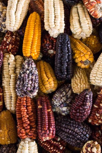 Flavours of Peru
