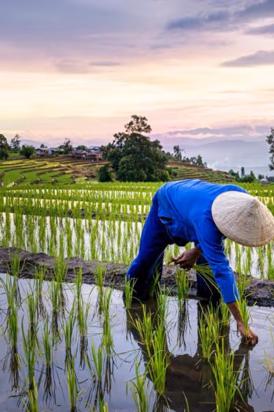 The Ultimate Luxury Adventure in Thailand