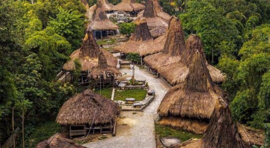 Delve into living heritage on Sumba preview image