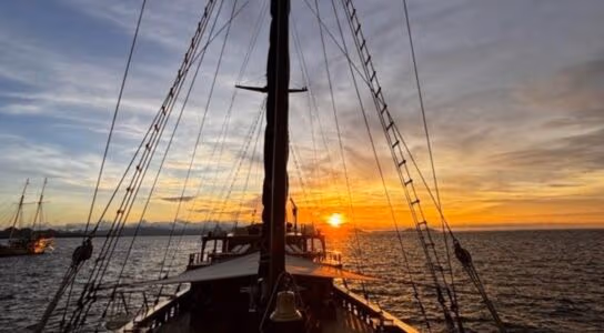 Explore freely on a charter boat preview image