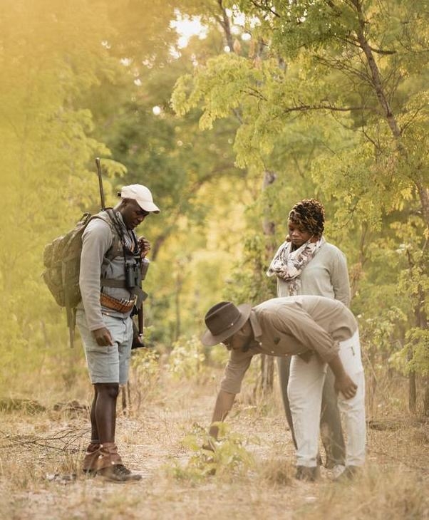 Guests during a game walk at Wilderness Little Makalolo.