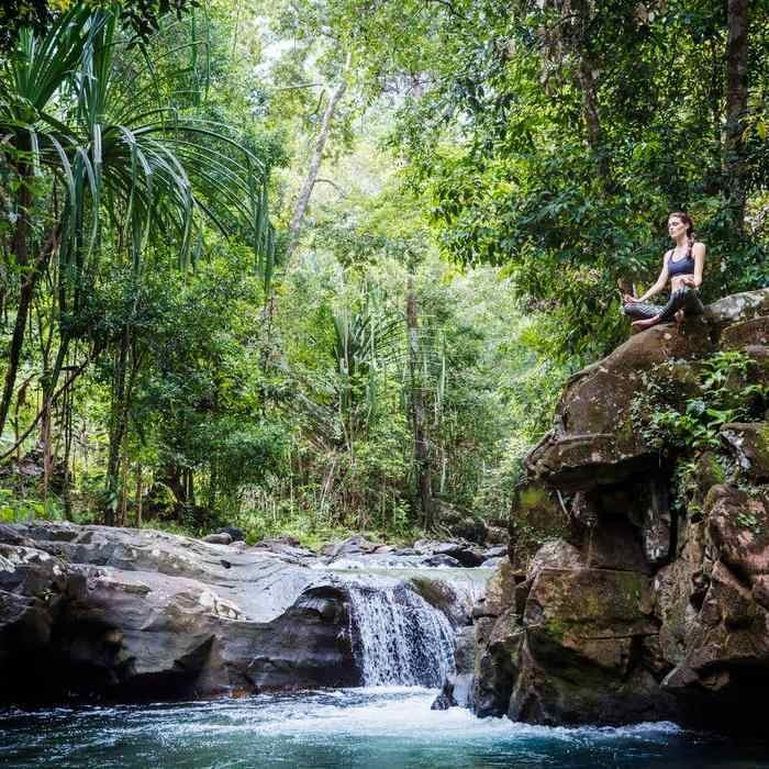 A person meditating on a rock next to a small waterfall in a lush green rainforest.
