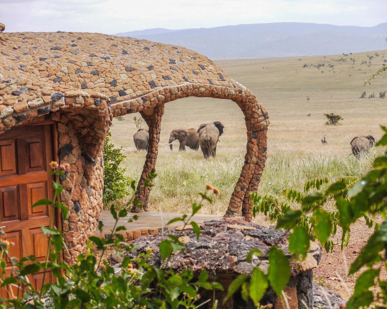 Wild elephants walking across a grassy plain seen through a stone archway.