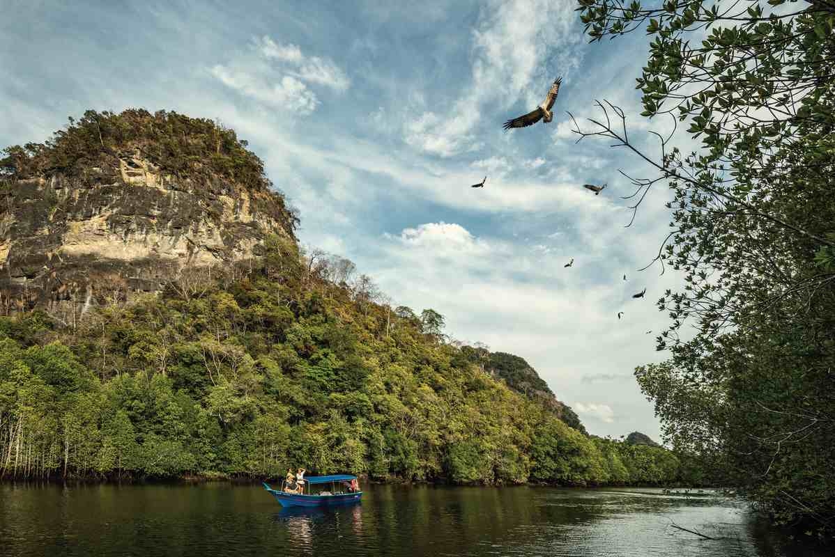 A small blue boat navigates a river between a high forested hill and mangrove trees with birds flying overhead.