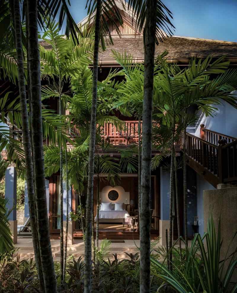 A luxury wooden pavilion guest room viewed through a screen of tropical palm trees and lush garden foliage.