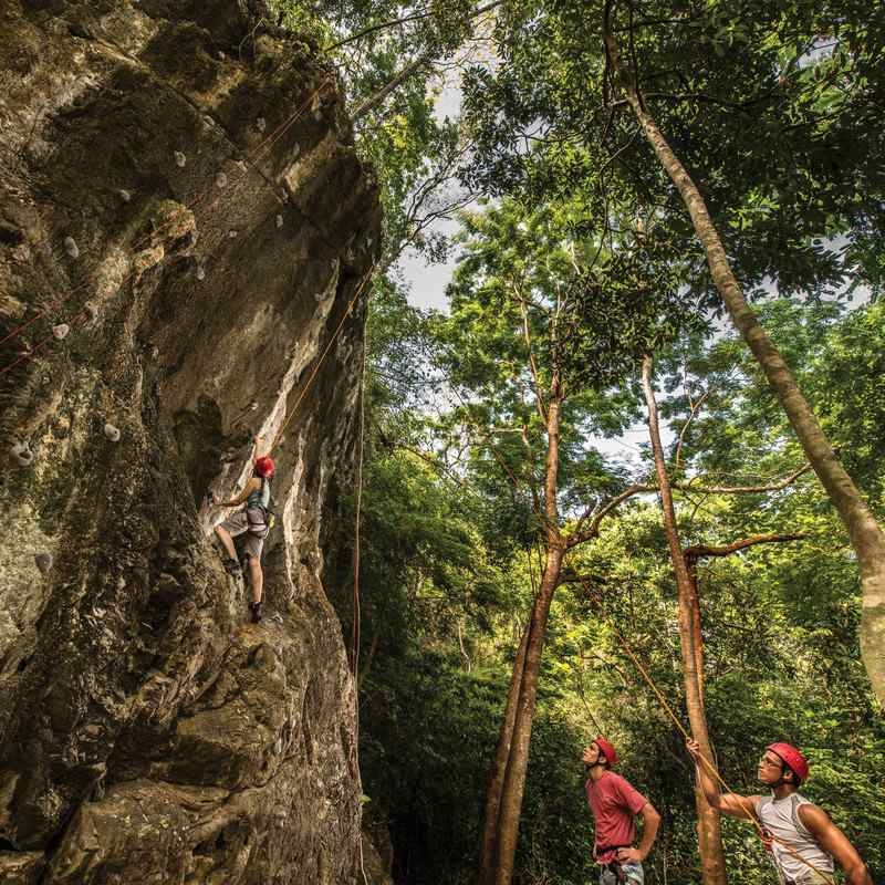 A climber scales a rock face in a jungle setting while two people in red helmets manage the ropes below.