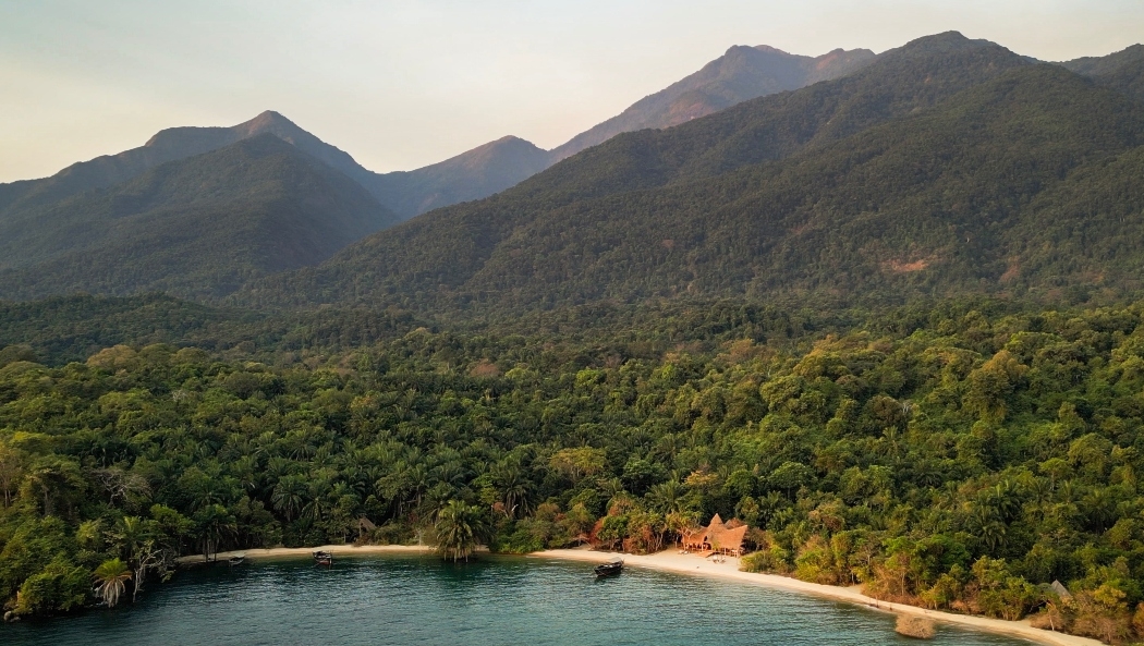 A secluded beachfront with thatched huts nestled among dense tropical forest at the foot of mountains.