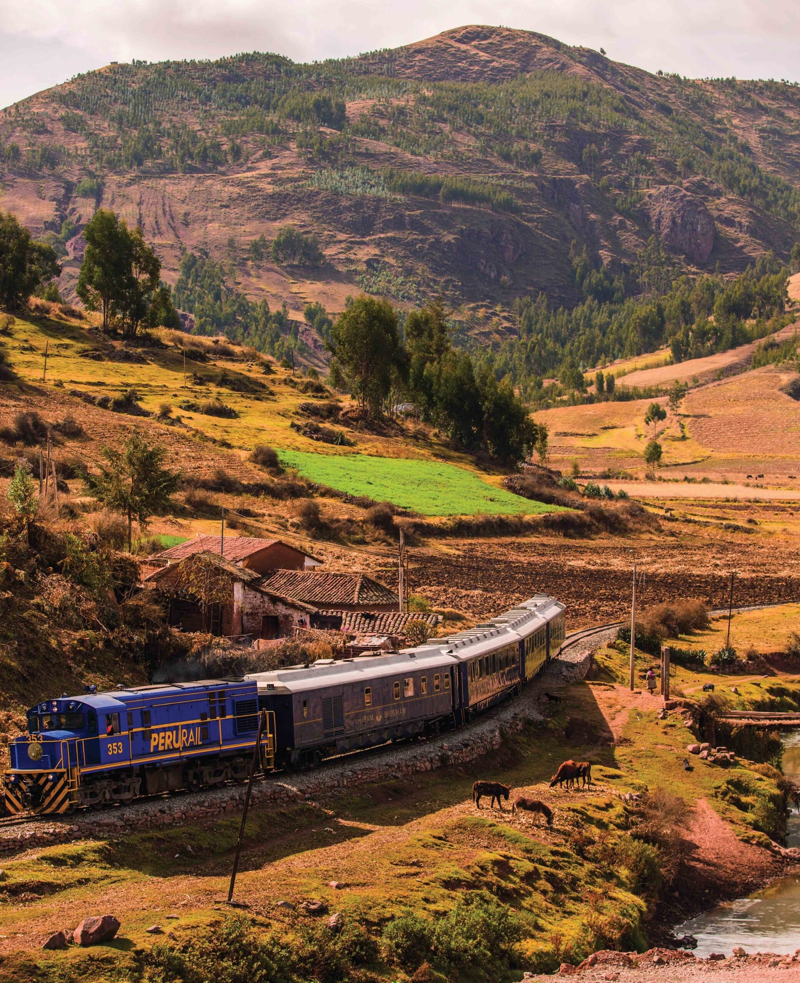 A Perurail train traverses a lush Andean landscape with mountains and a river.