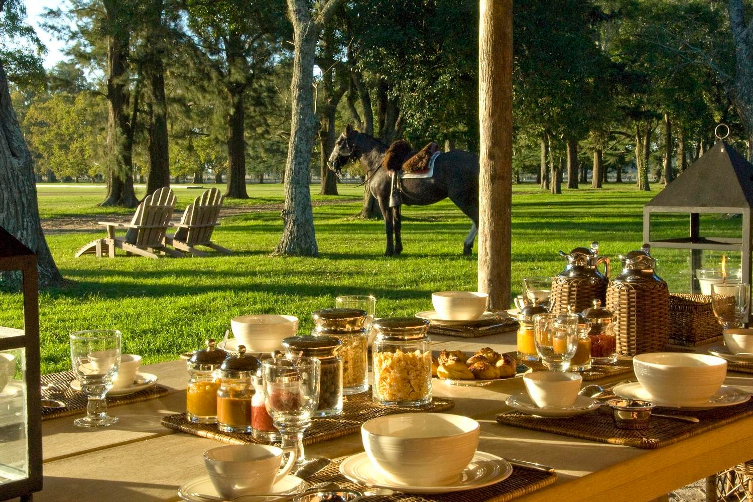 Outdoor breakfast setup with horse in background amidst trees and Adirondack chairs.