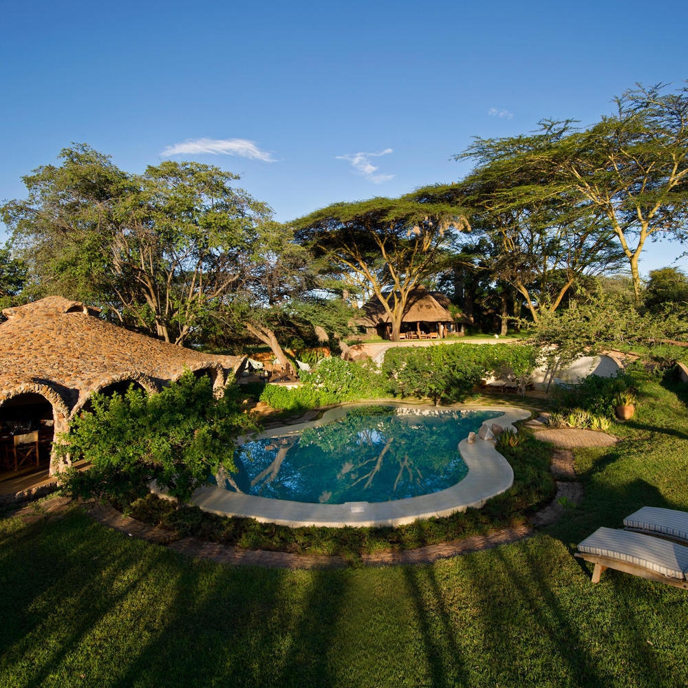 A blue swimming pool set in a green garden surrounded by large trees and safari lodge buildings.