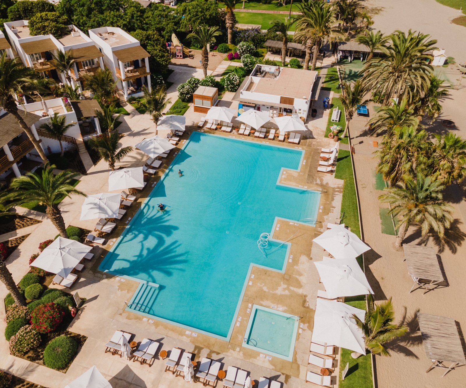 Aerial view of a resort pool with sun loungers and palm trees.