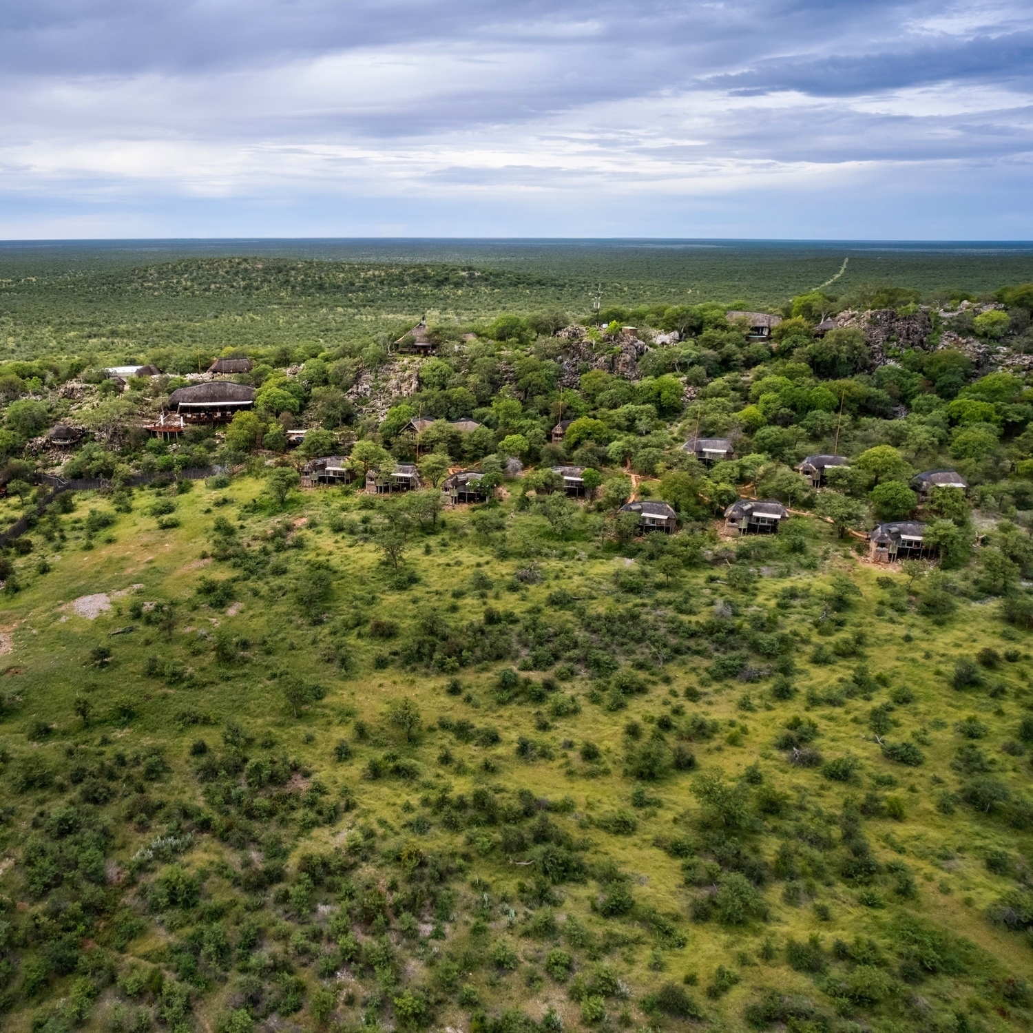 Aerial view of Ongava Lodge chalets spread across a tree-covered hill overlooking the vast savanna.