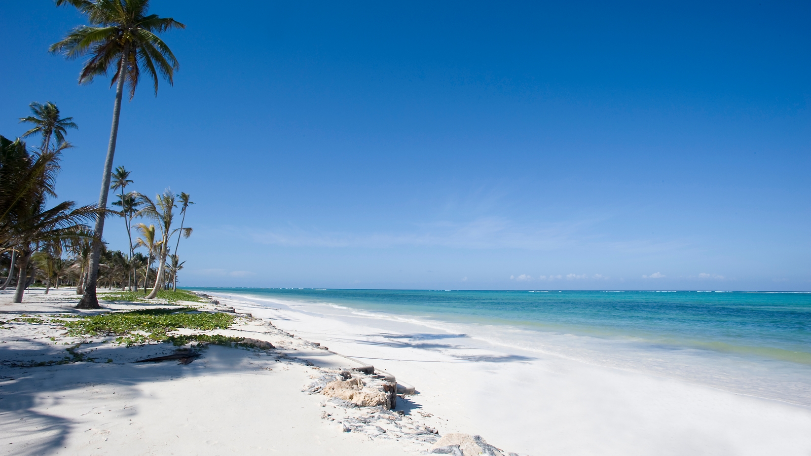 Bwejuu Beach Zanzibar