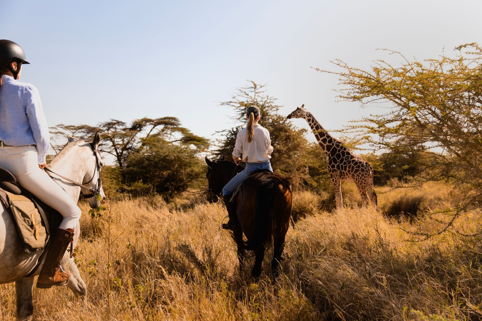 A person on horseback watching a tall giraffe standing in grassy savanna terrain.