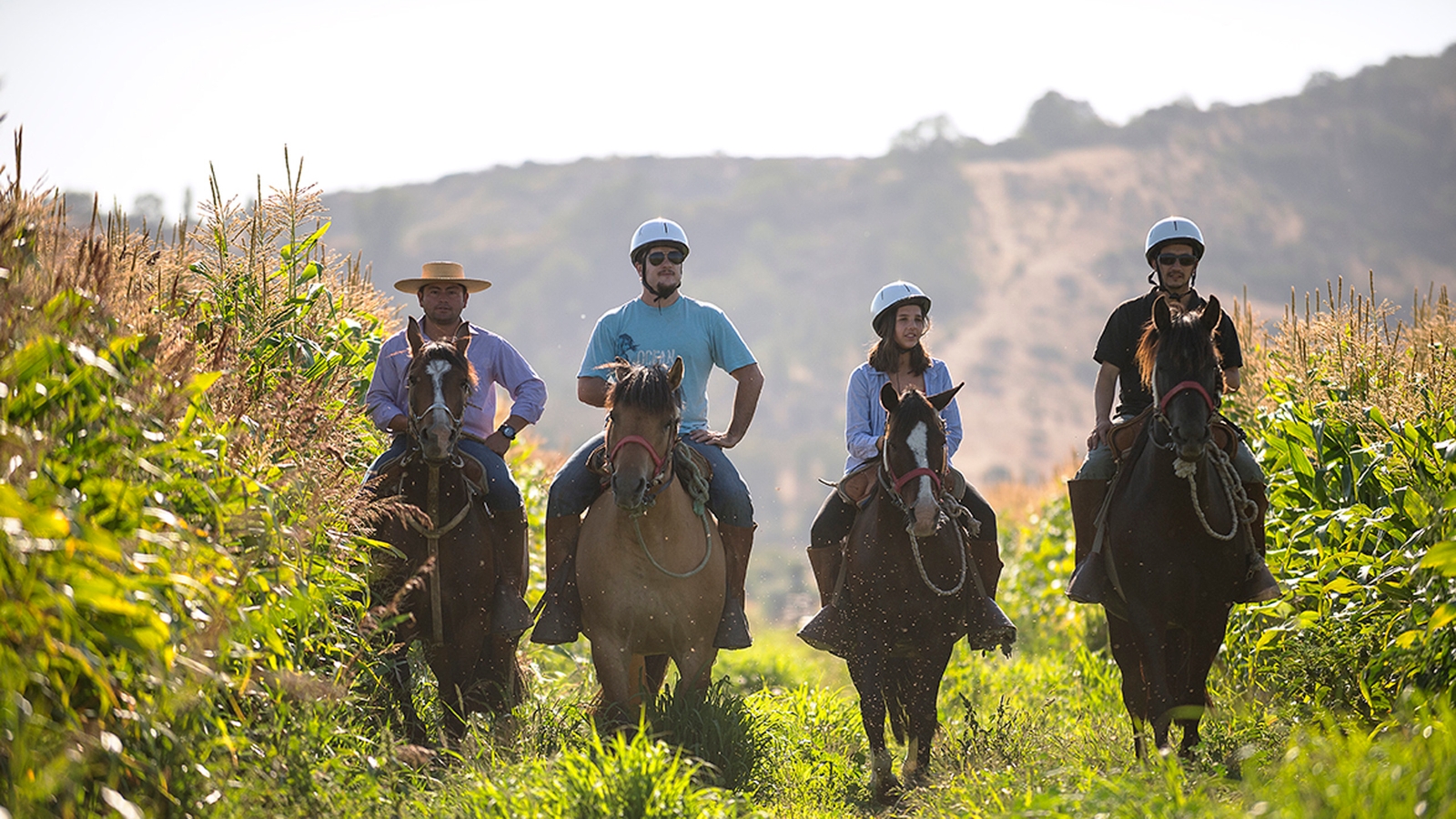 matetic-horse-riding