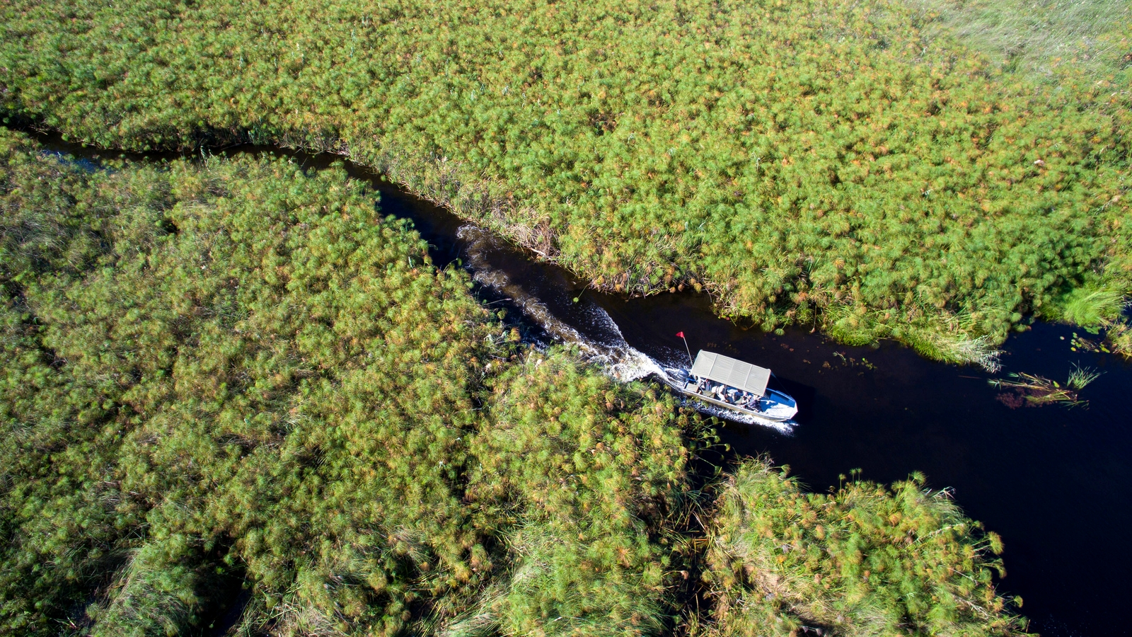 nxabega-lodge-boat-cruise
