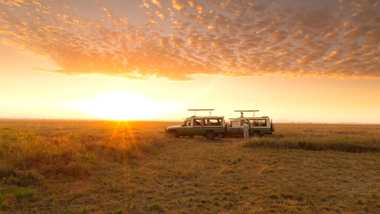 serengeti-safari-camp-game-drive