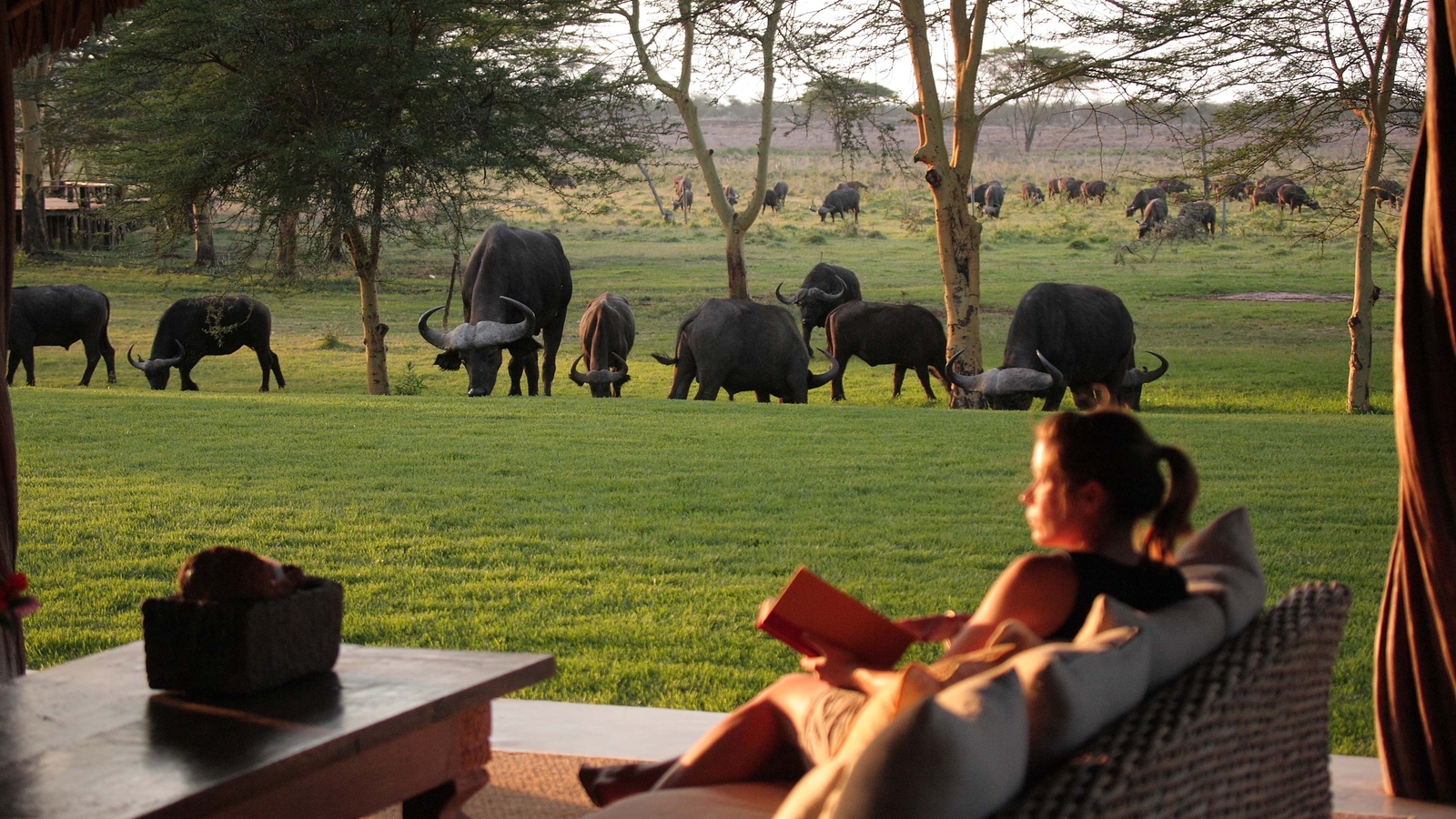 Decking, Sirikoi House, Lewa, Kenya