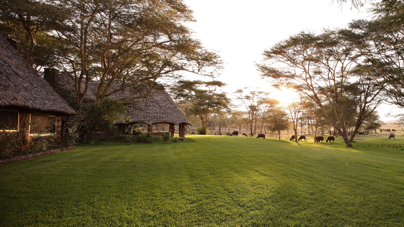 sirikoi-house-exterior