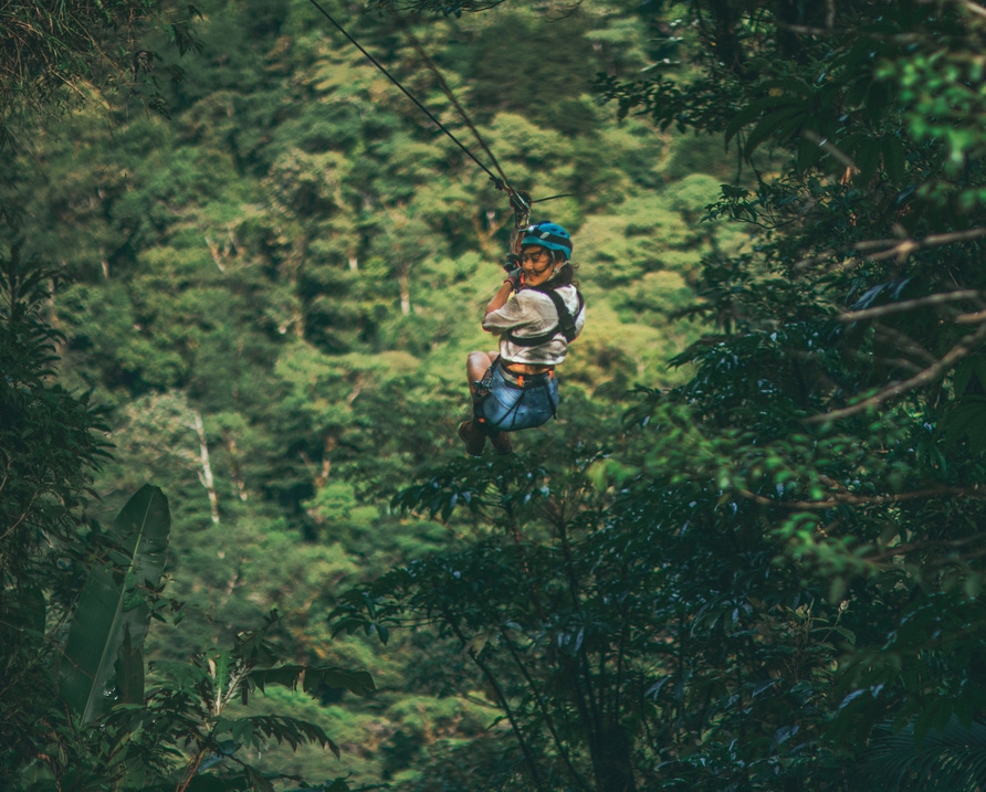 A person ziplining through dense forest.