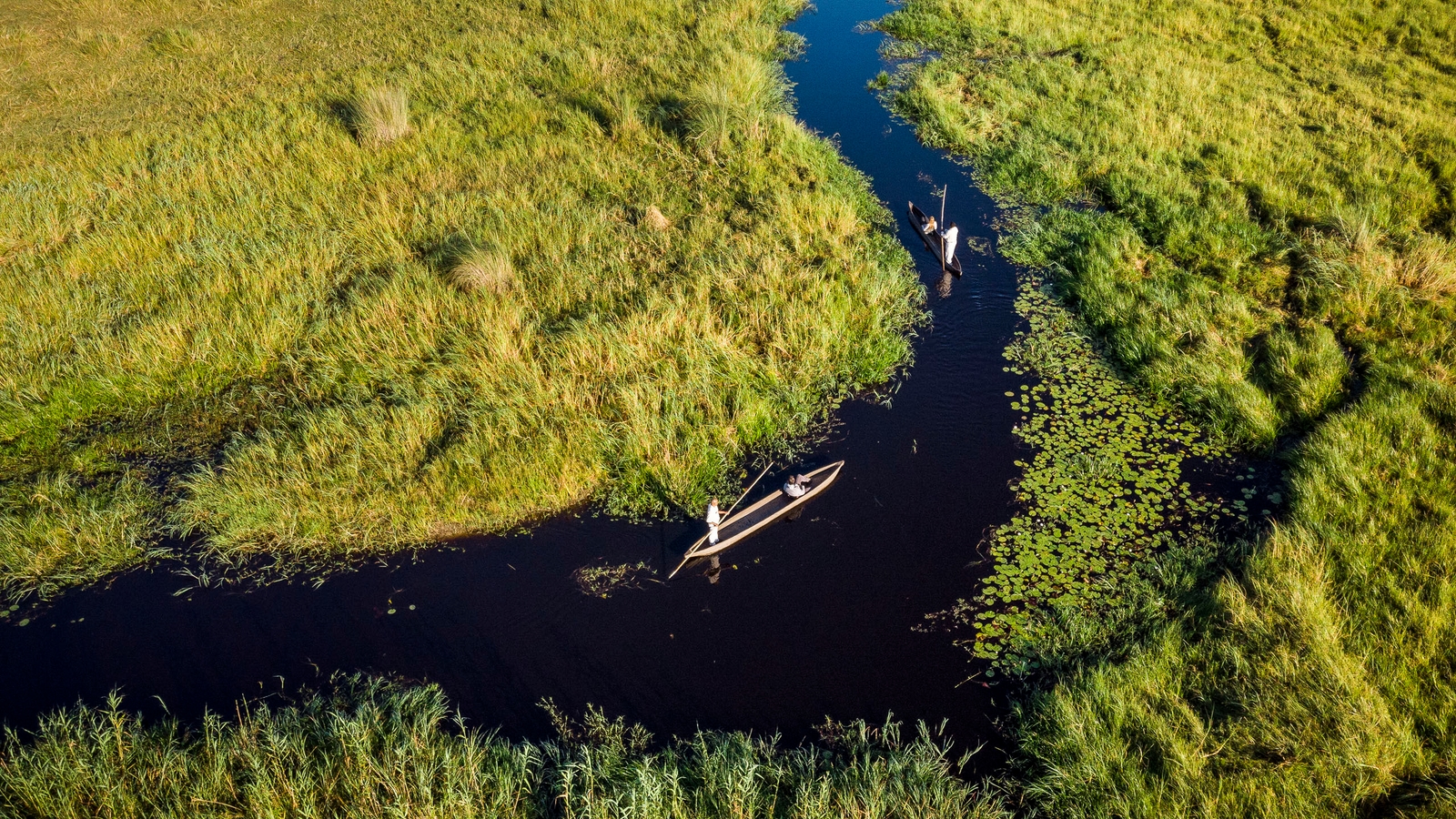 the waterways of the Okavango delta