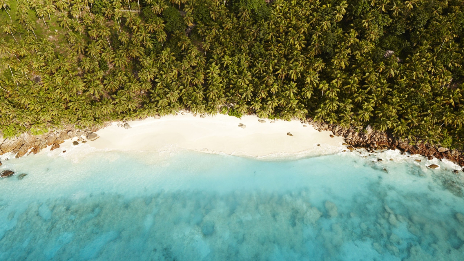 When is the Best Time to Visit the Seychelles?