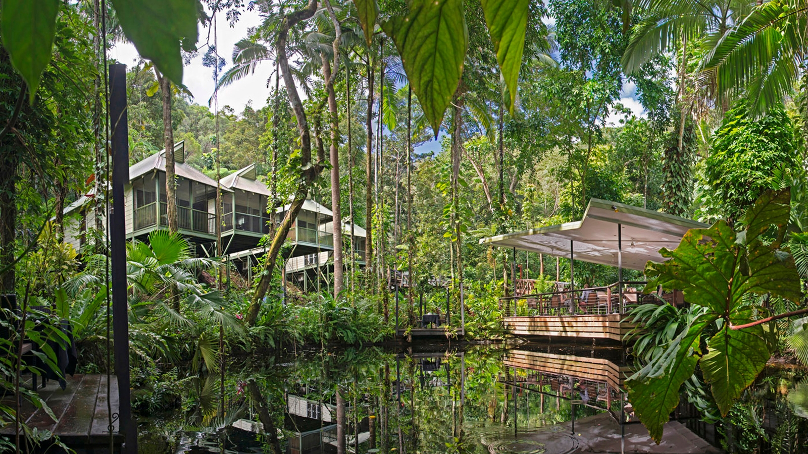 daintree-exterior