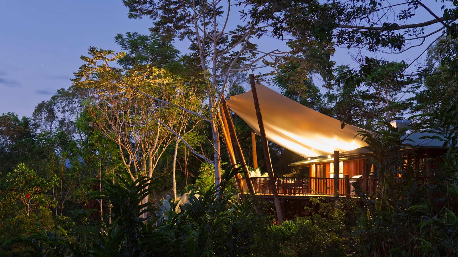 rose-gums-treehouse-night