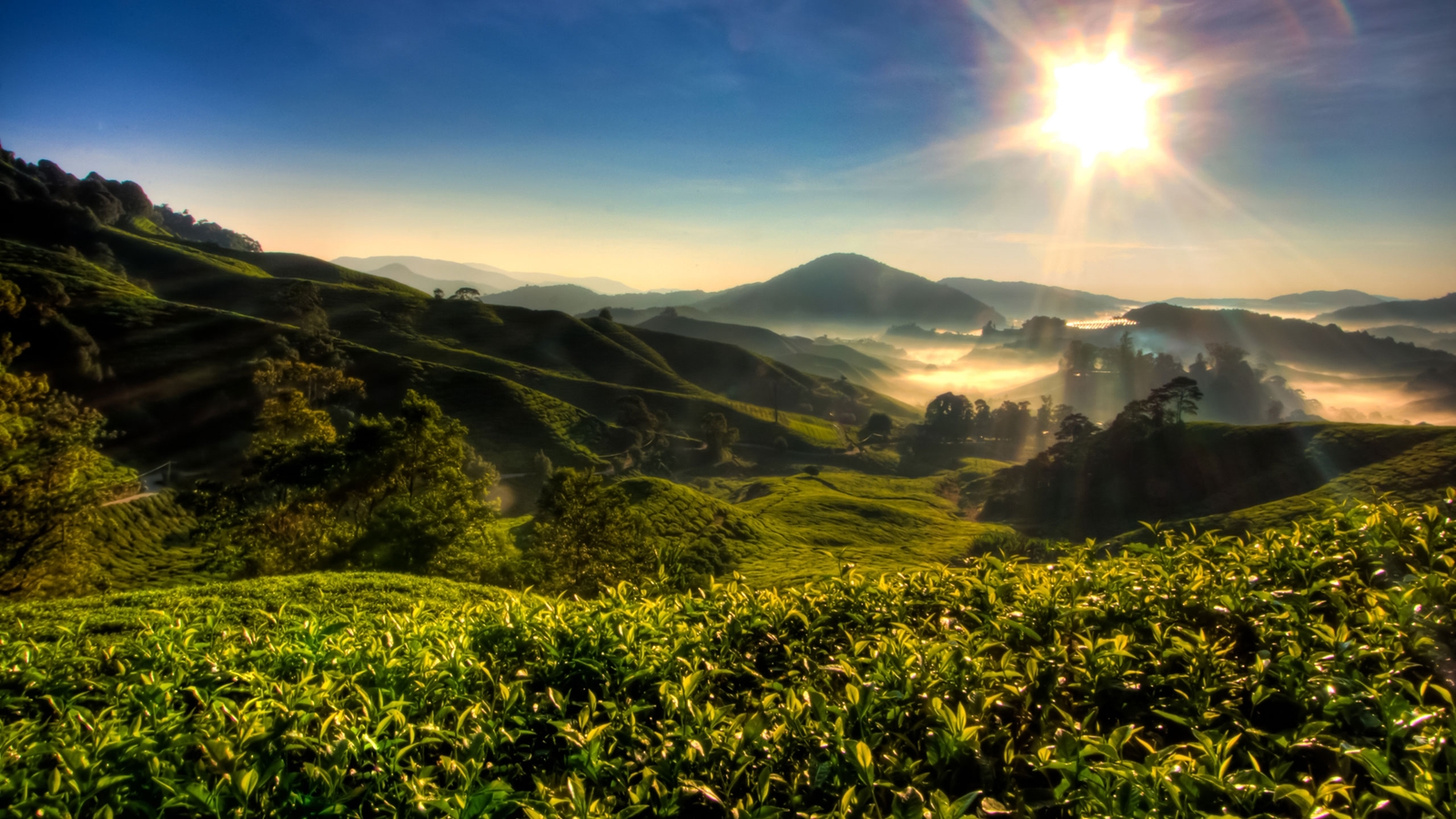 When is the Best Time to Visit Malaysia?