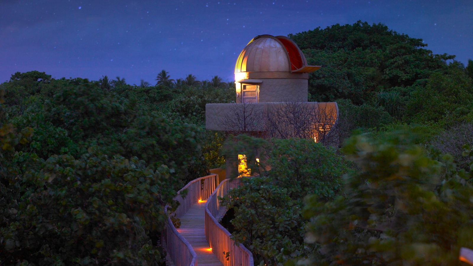 Small observatory tower and a wooden bridge with orange lights nestled in a thick green forest at dusk.