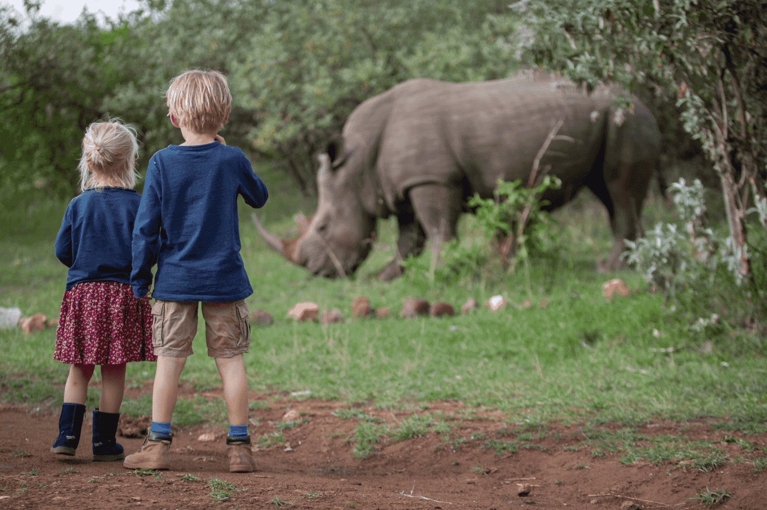 Two children watching a rhino in the distance at House in the Wild's rhino sanctuary
