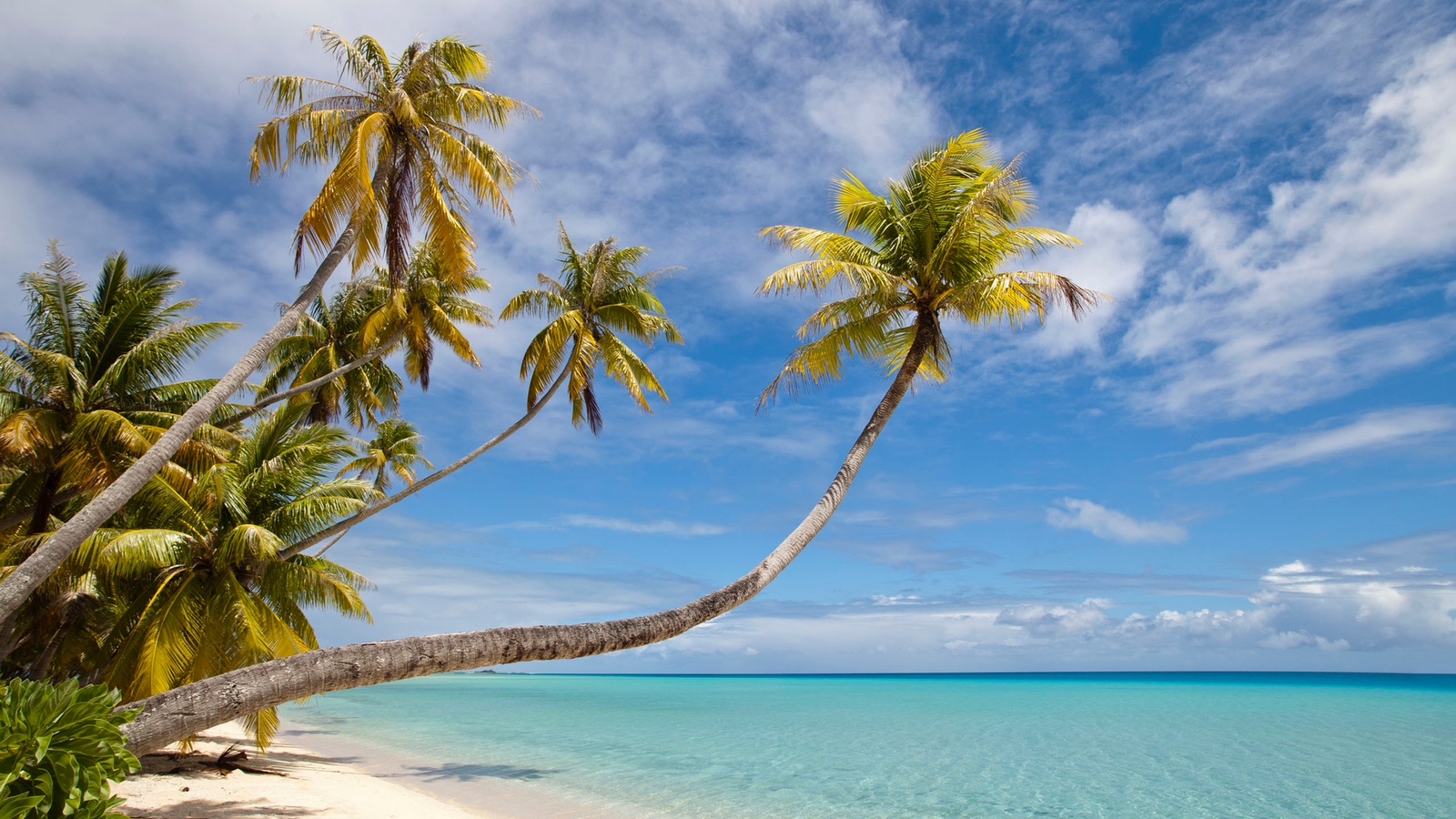 When is the Best Time to Visit Fiji?