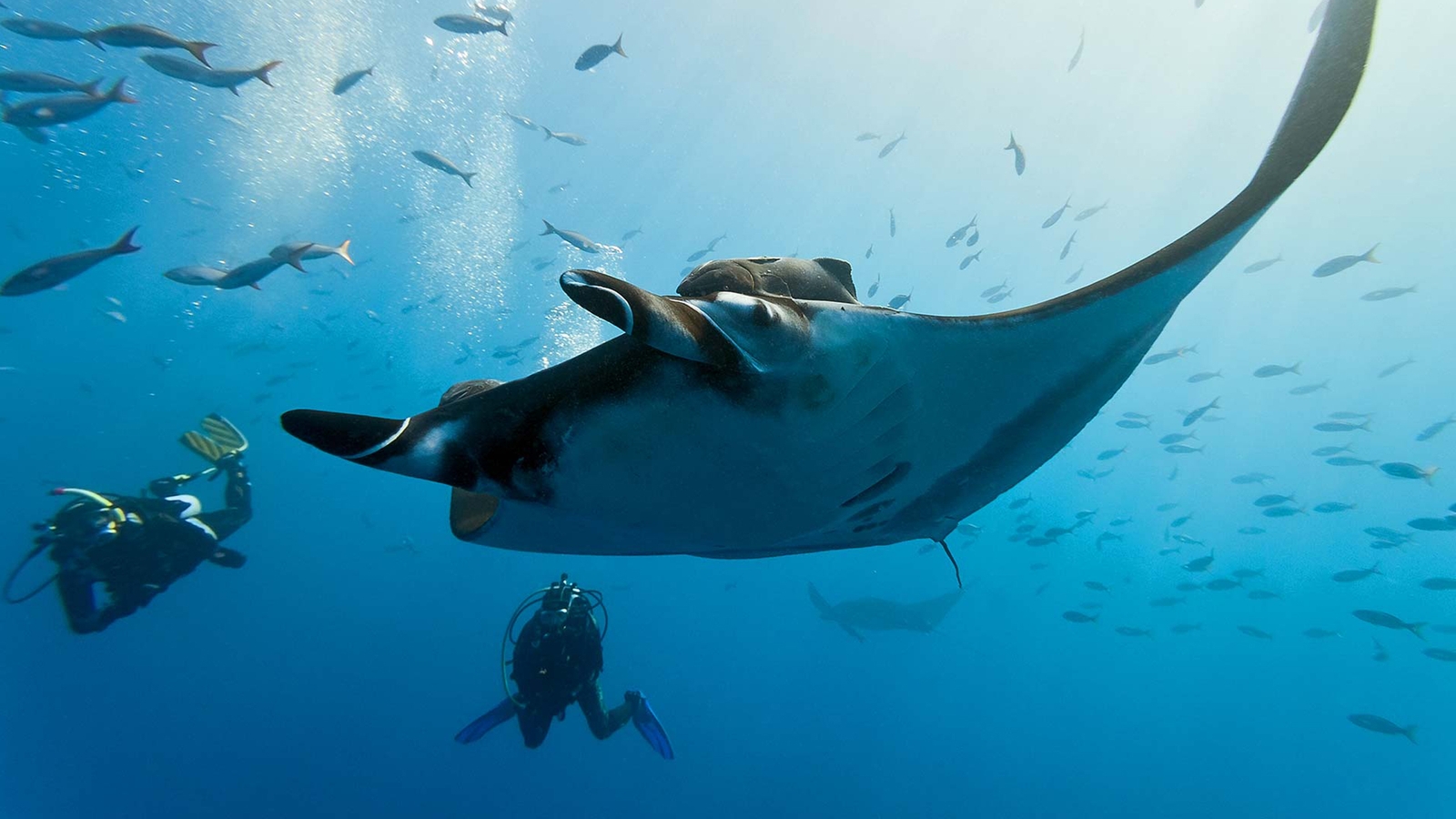 kokomo-private-island-scuba-diving