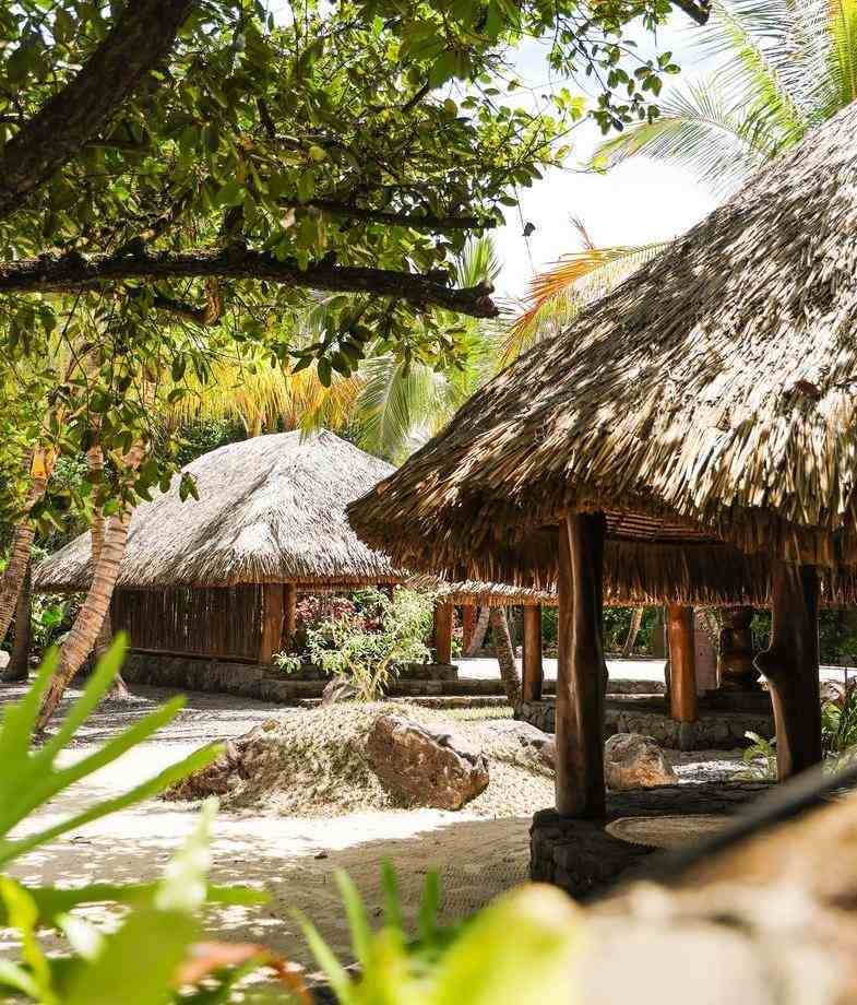 Traditional thatched-roof buildings nestled among palm trees at Le Taha'a by Pearl Resorts in French Polynesia.
