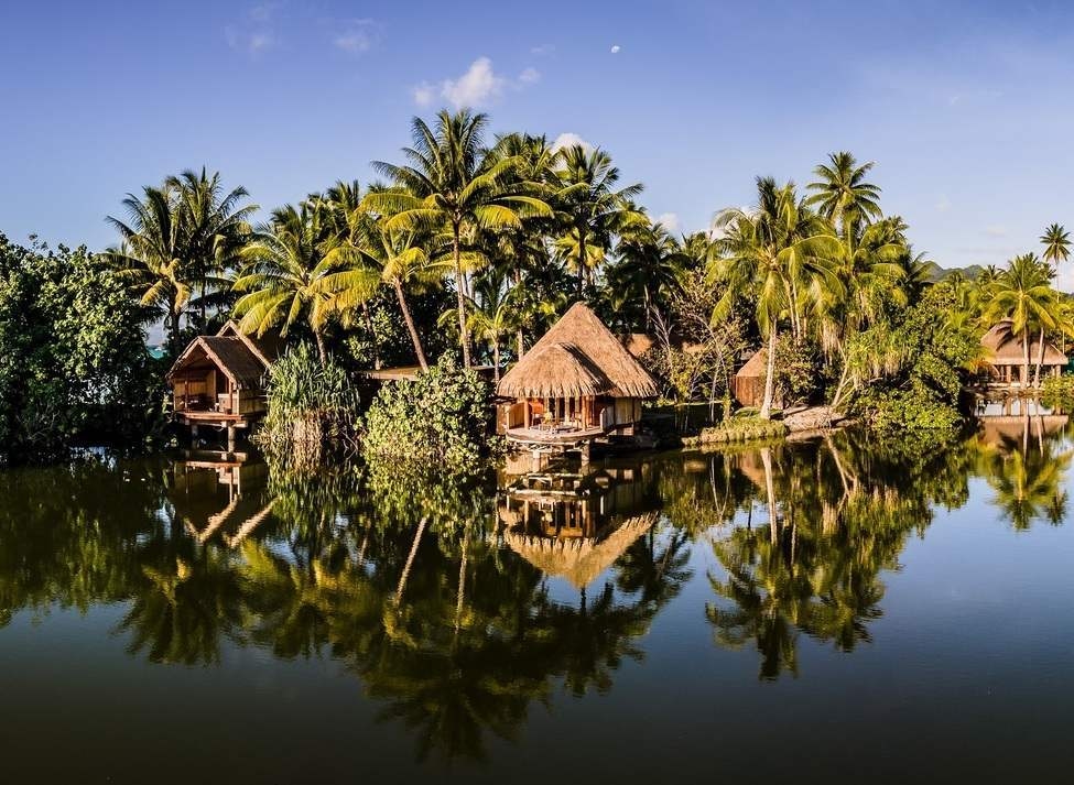 Thatched-roof spa bungalows nestled among palm trees and reflected in water at Le Taha'a by Pearl Resorts in French Polynesia.