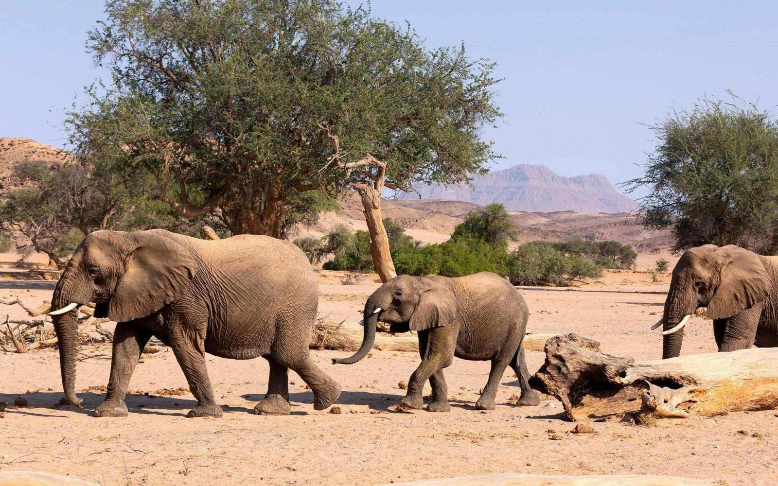 When Is the Best Time to Visit South Africa?