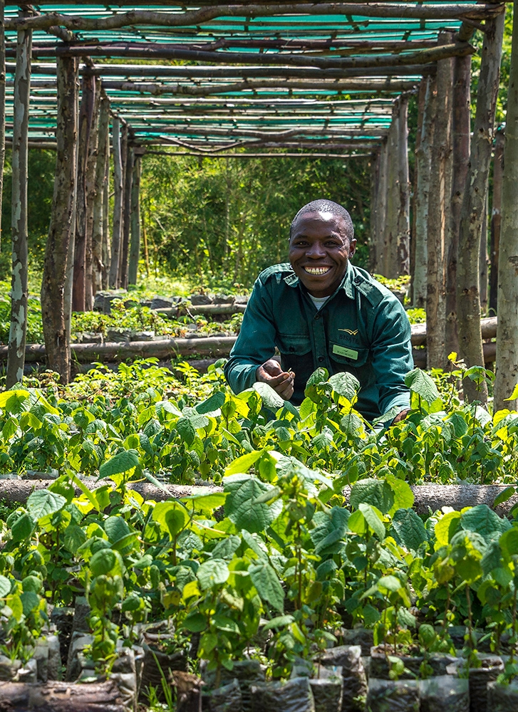 A man in a green uniform smiles while kneeling among rows of small green plants in a nursery.