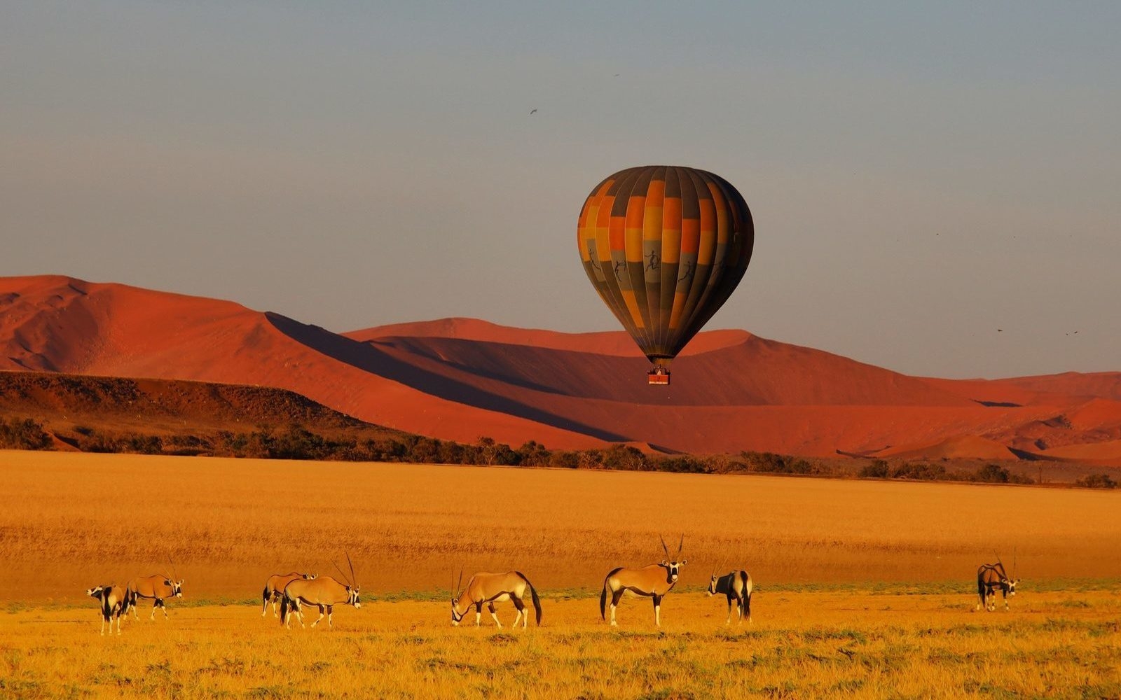 The Best Time to Visit Namibia
