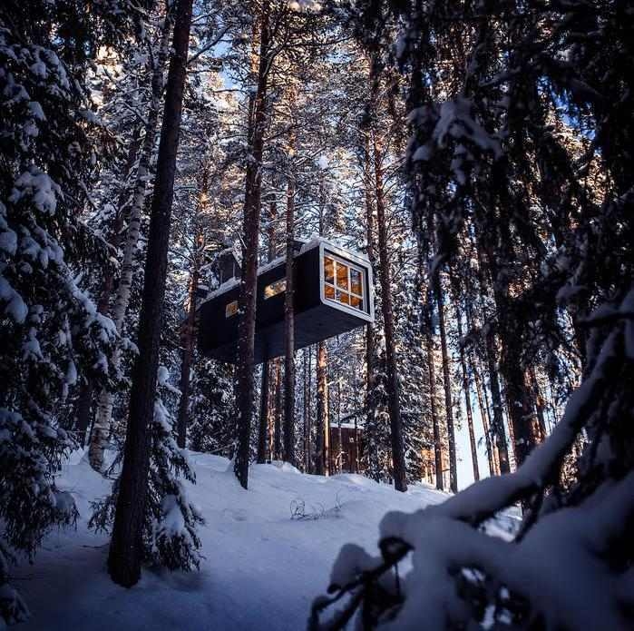 A black rectangular treehouse with a large window hanging in a dense, snowy forest.