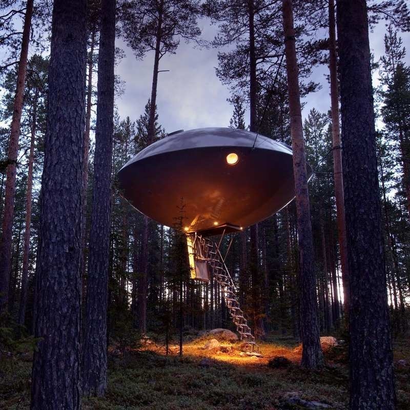 A metallic, saucer-shaped cabin hanging among tall trees with a retractable ladder lowered to the ground.