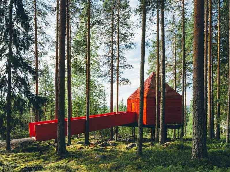 The vibrant red wooden exterior of the Blue Cone cabin contrasts sharply with the green forest surroundings.