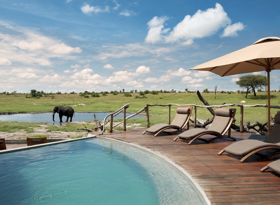 A deck at Somalisa Camp with a pool and sun loungers facing a wild elephant at a watering hole.