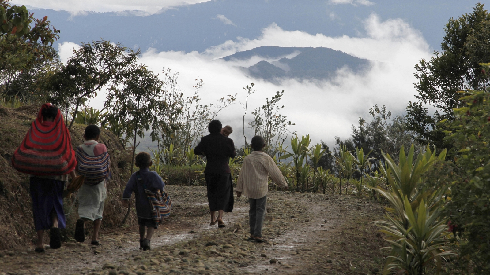 rondon-ridge-walk-papua-new-guinea