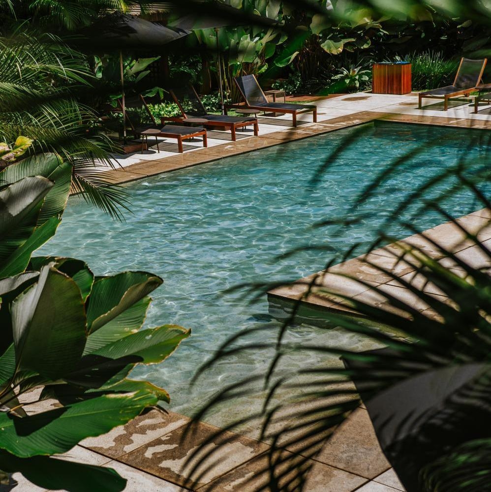 Outdoor pool seen through palm trees at Pousada Literária